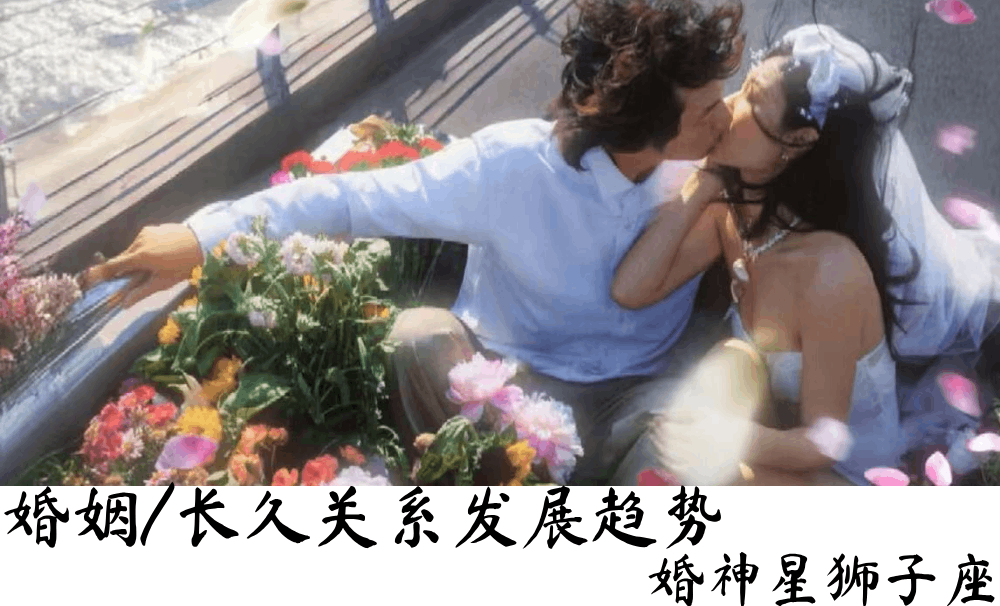 婚姻/长久关系发展趋势|婚神星狮子座