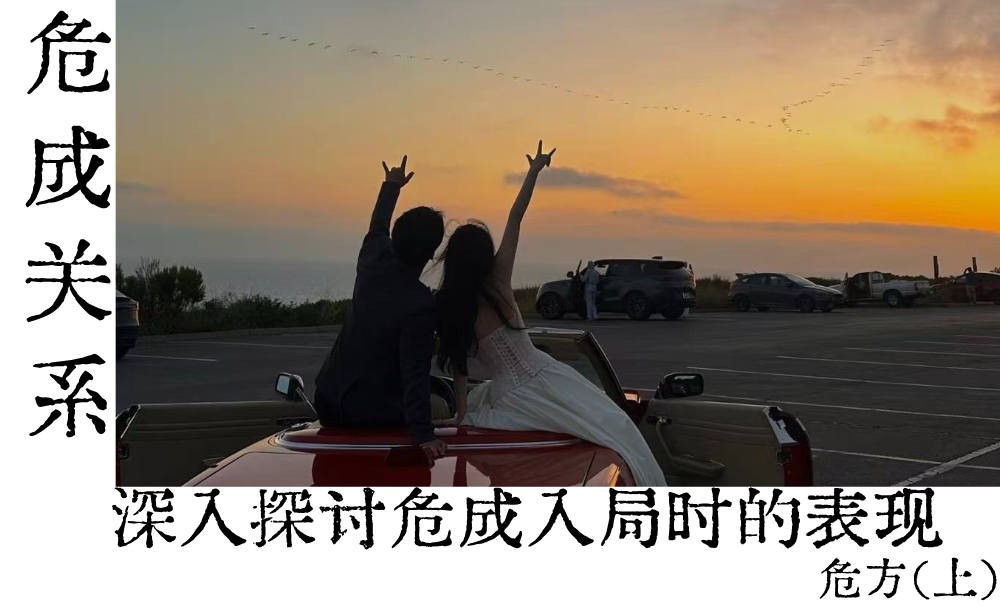 深入探讨危成入局时的表现|危方(上)