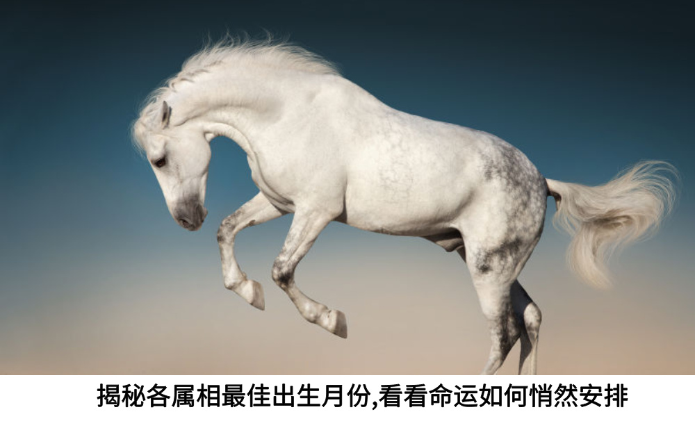 揭秘各属相最佳出生月份，看看命运如何悄然安排
