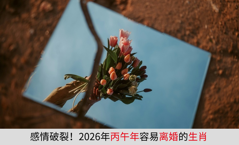 感情破裂！2026年丙午年容易离婚的生肖