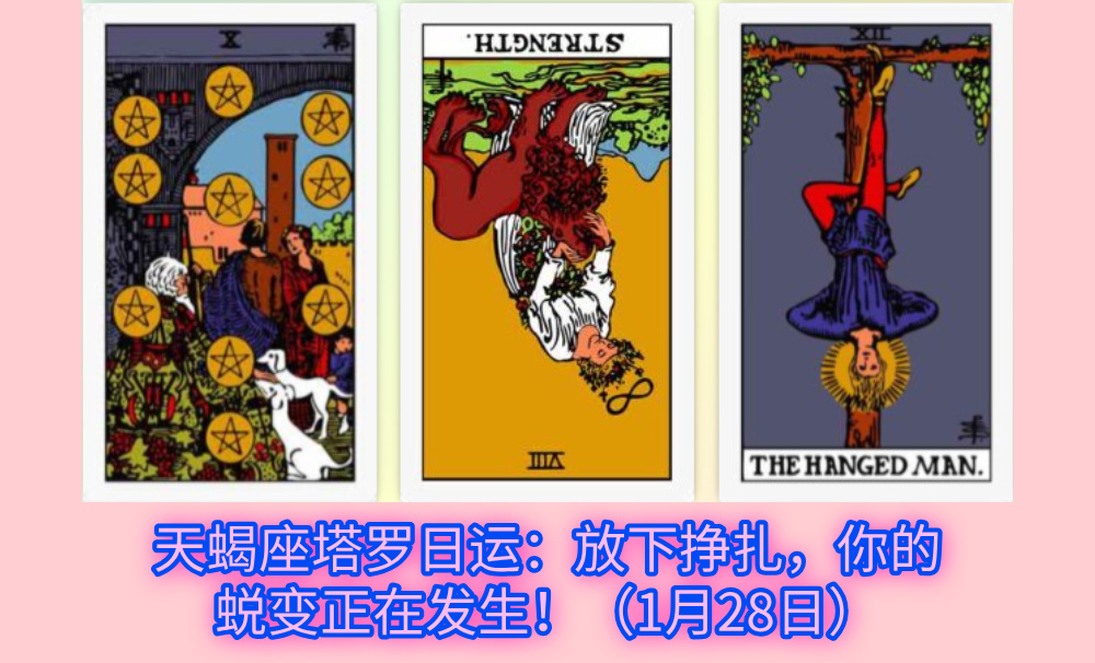 天蝎座塔罗日运：放下挣扎，你的蜕变正在发生！（1月28日）