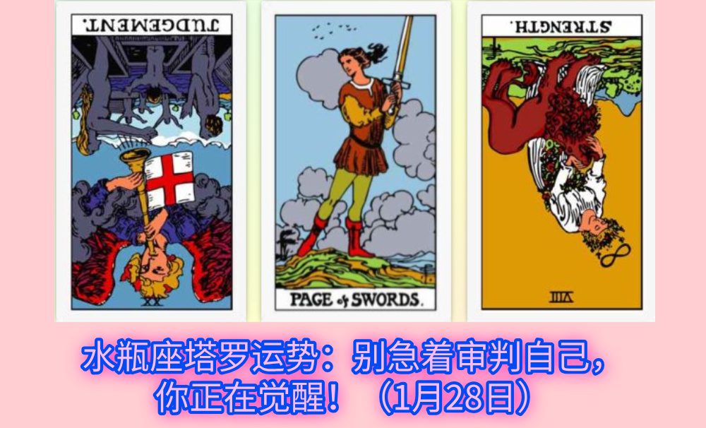 水瓶座塔罗运势：别急着审判自己，你正在觉醒！（1月28日）