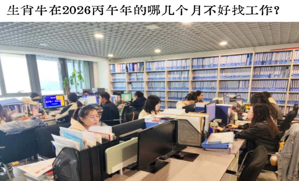 生肖牛在2026丙午年的哪几个月不好找工作？