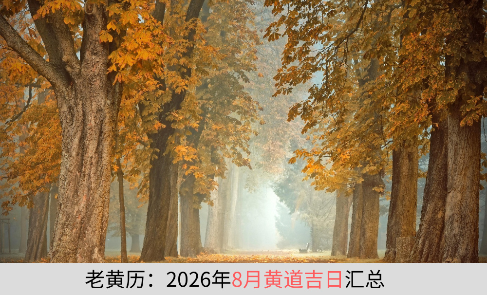 老黄历：2026年8月黄道吉日汇总