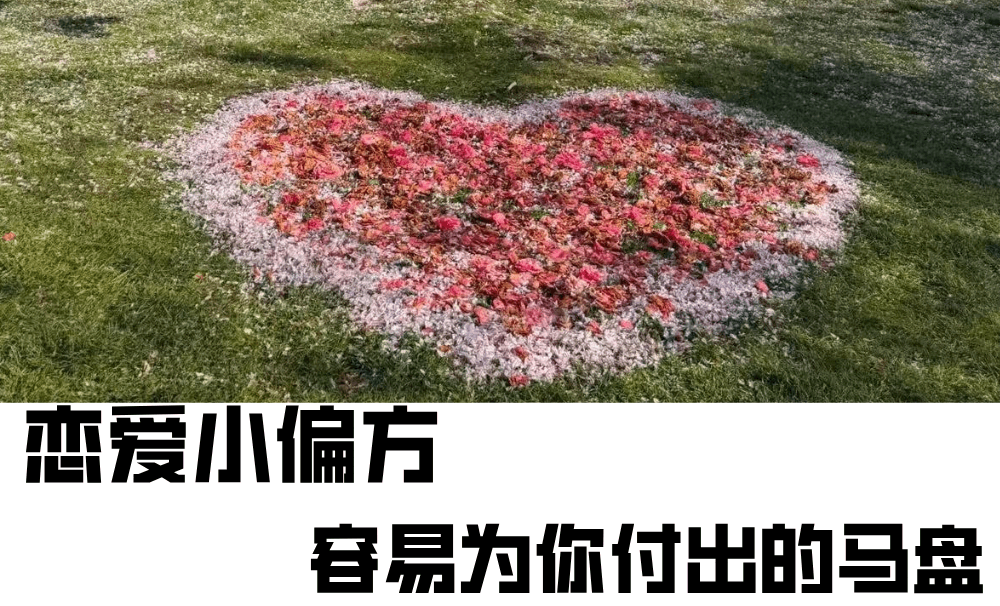 恋爱小偏方|容易为你付出的马盘