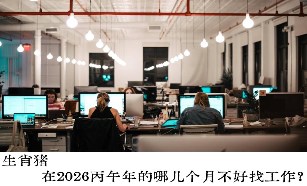 生肖猪在2026丙午年的哪几个月不好找工作？