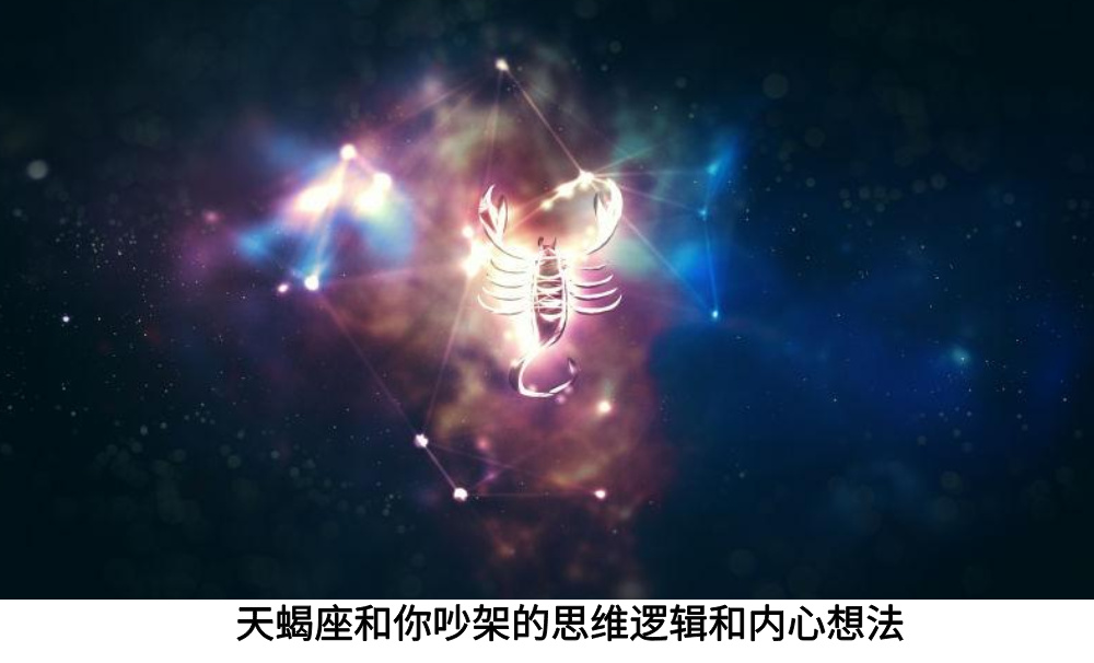 天蝎座和你吵架的思维逻辑和内心想法