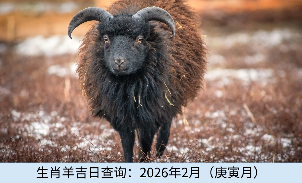生肖羊吉日查询：2026年2月（庚寅月）