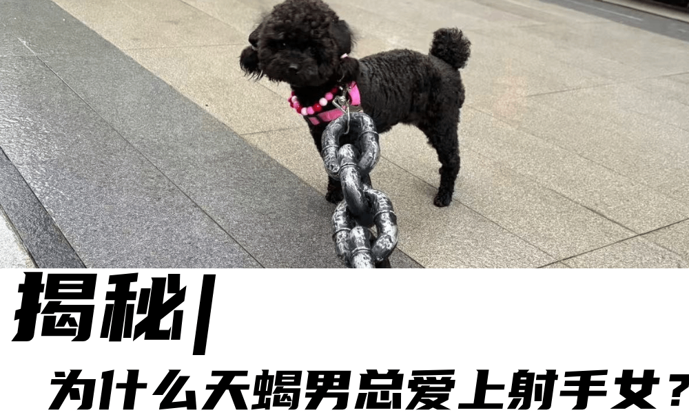 揭秘|为什么天蝎男总爱上射手女？