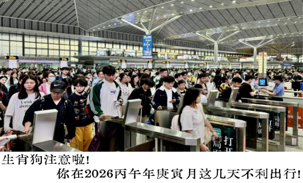 生肖狗注意啦！你在2026丙午年庚寅月这几天不利出行！