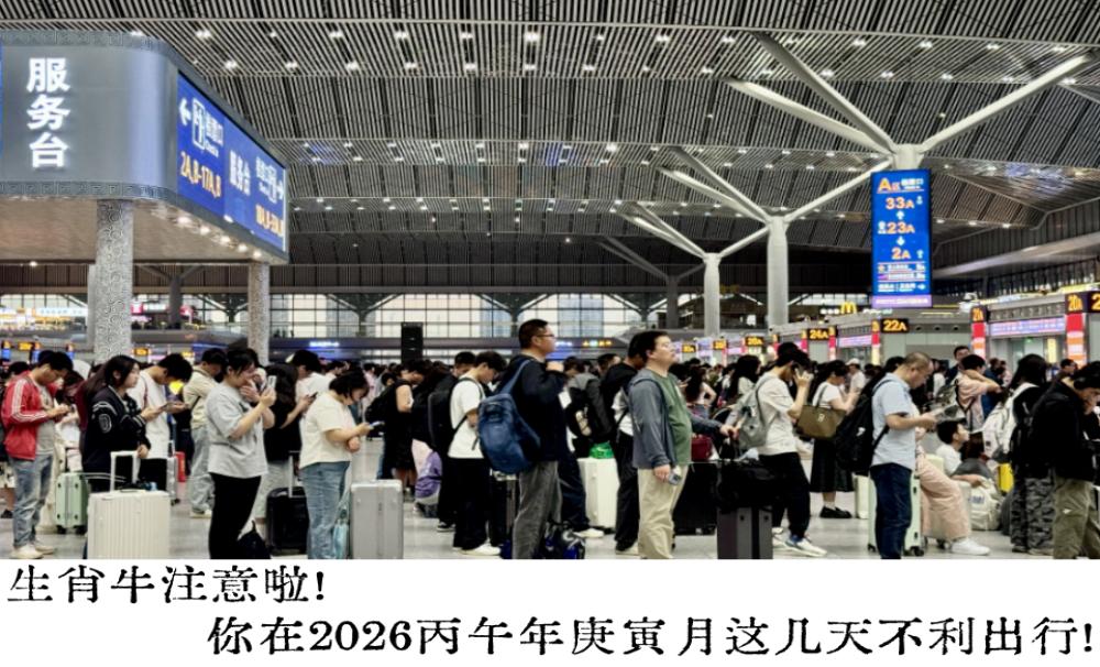 生肖牛注意啦！你在2026丙午年庚寅月这几天不利出行！