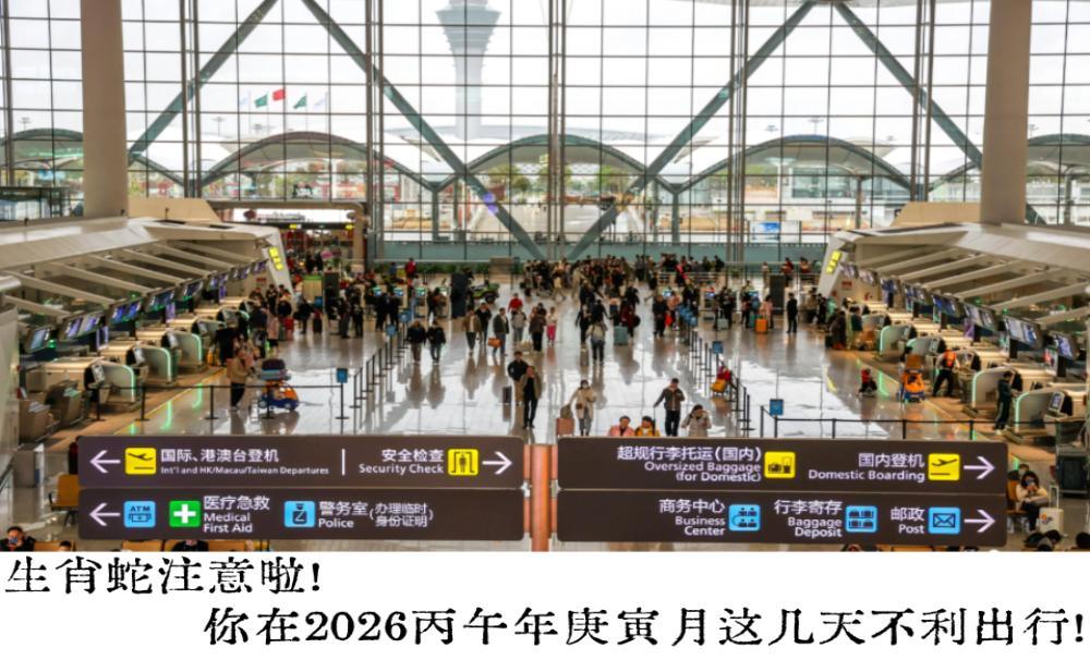 生肖蛇注意啦！你在2026丙午年庚寅月这几天不利出行！