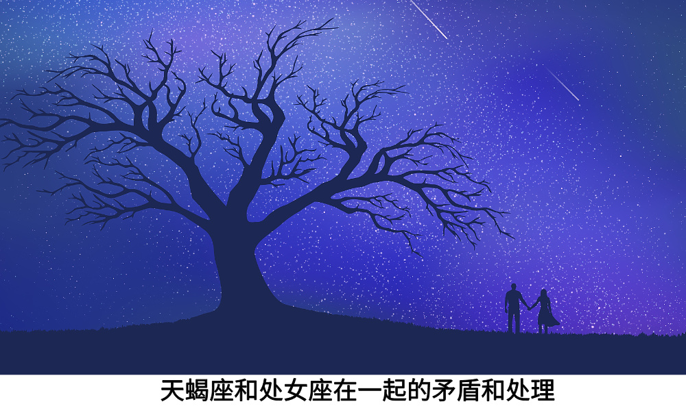 天蝎座和处女座在一起的矛盾和处理