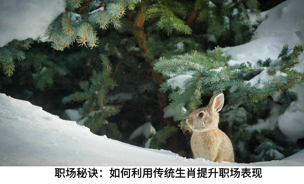 职场秘诀：如何利用传统生肖提升职场表现