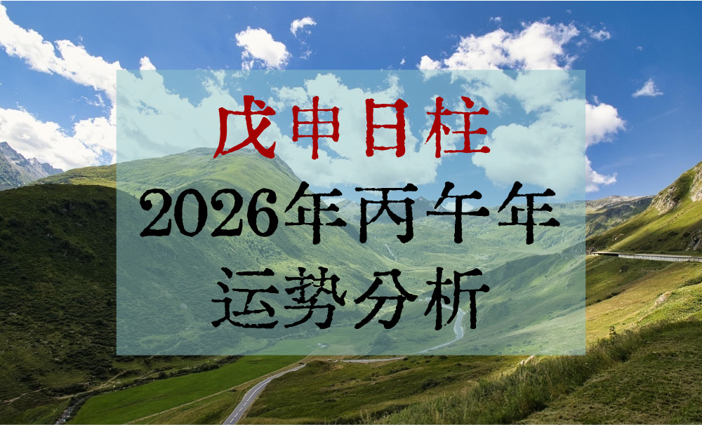 戊申日柱2026年丙午年运势分析