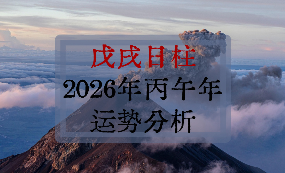 戊戌日柱2026年丙午年运势分析