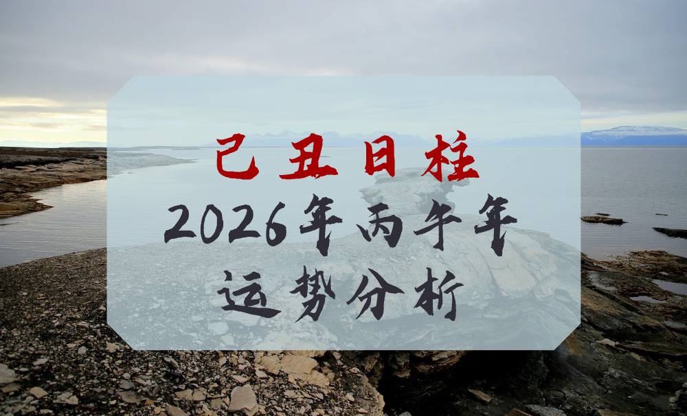 己丑日柱2026年丙午年运势分析