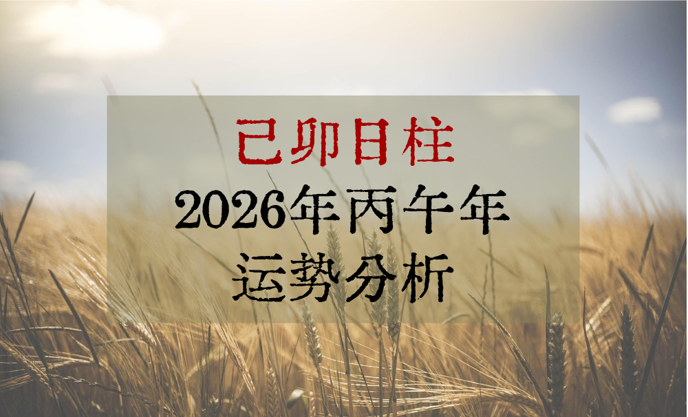 己卯日柱2026年丙午年运势分析