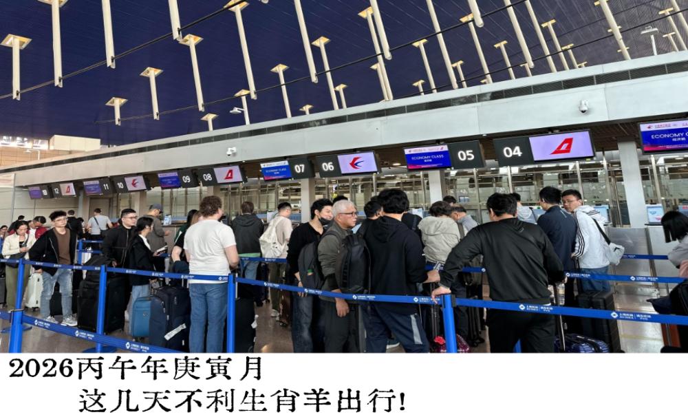 2026丙午年庚寅月这几天不利生肖羊出行！