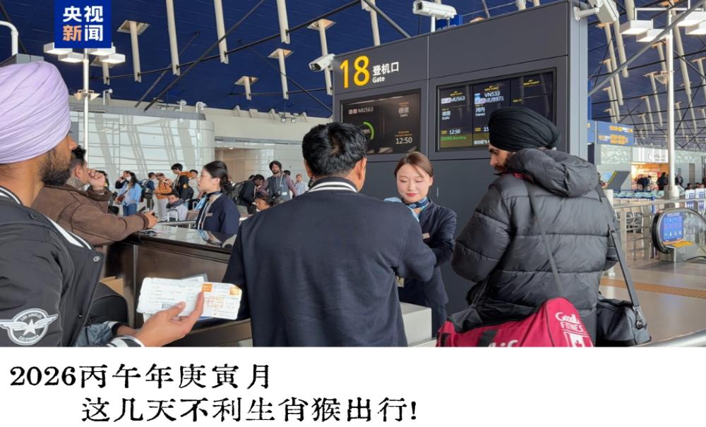 2026丙午年庚寅月这几天不利生肖猴出行！