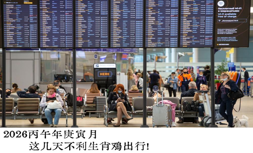 2026丙午年庚寅月这几天不利生肖鸡出行！