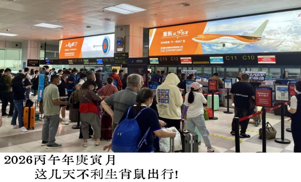 2026丙午年庚寅月这几天不利生肖鼠出行!