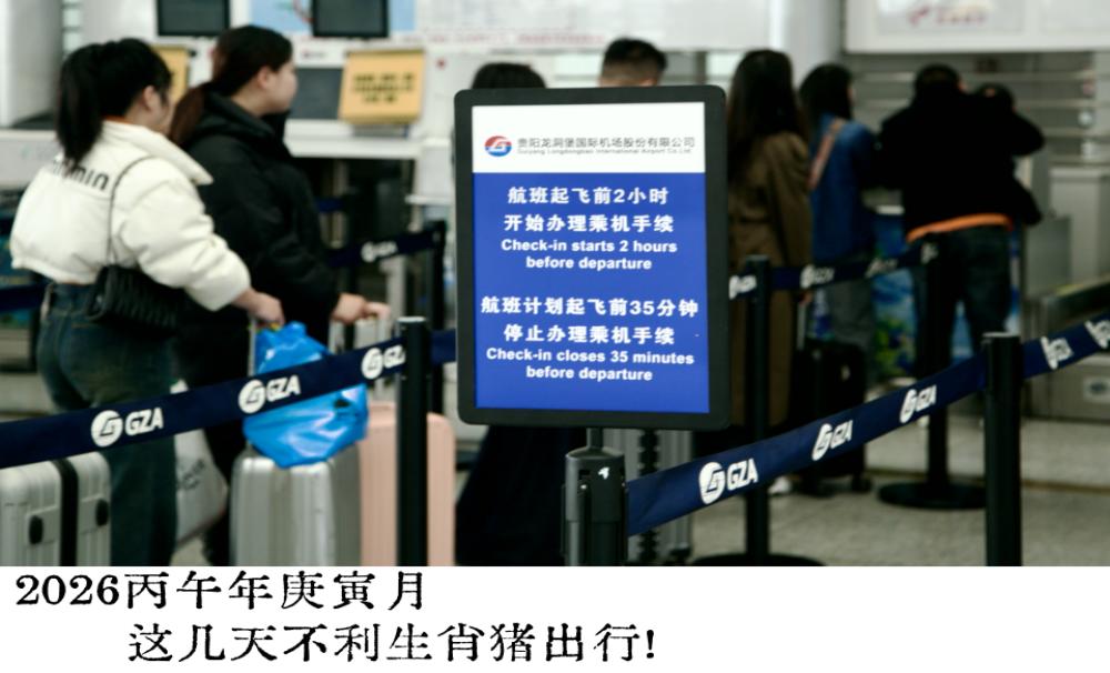 2026丙午年庚寅月这几天不利生肖猪出行！