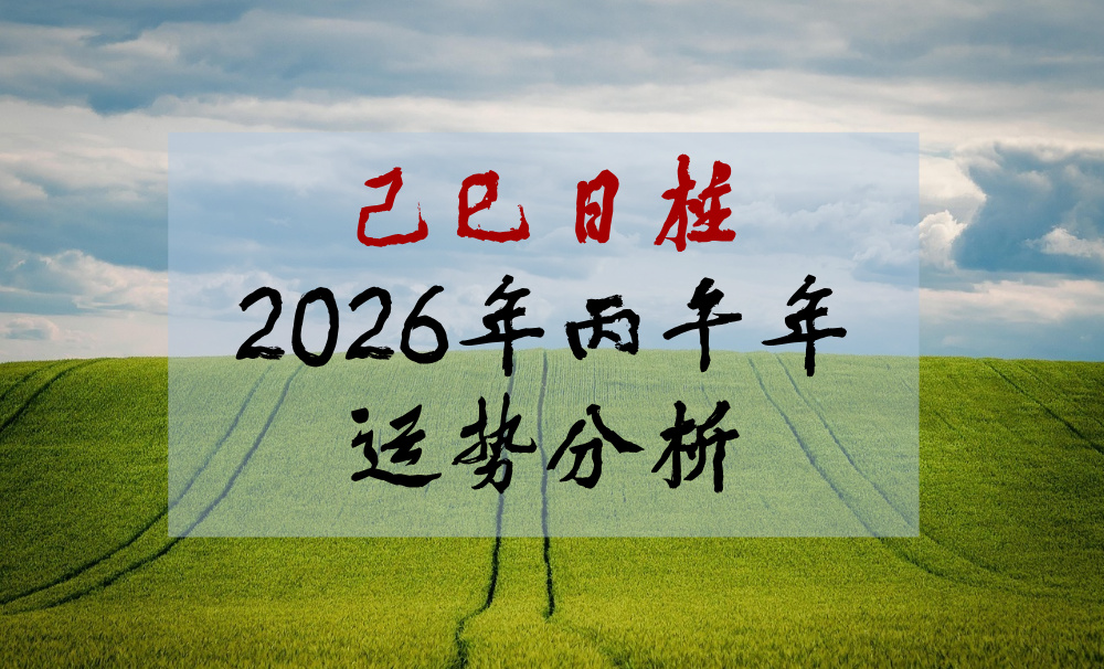 己巳日柱2026年丙午年运势分析