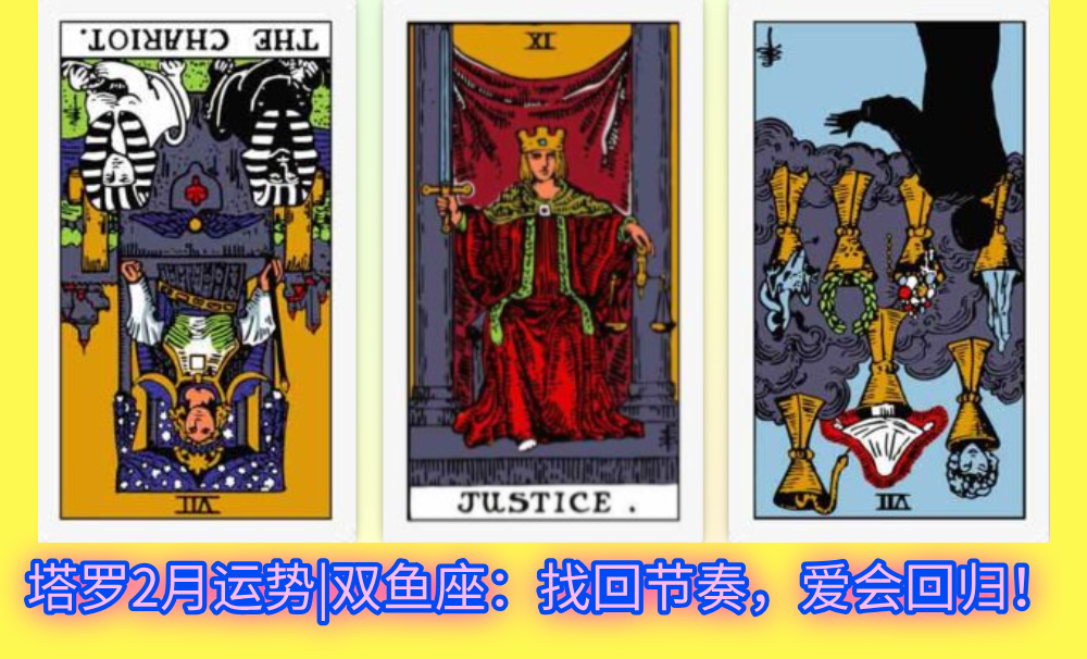 塔罗2月运势|双鱼座：找回节奏，爱会回归！