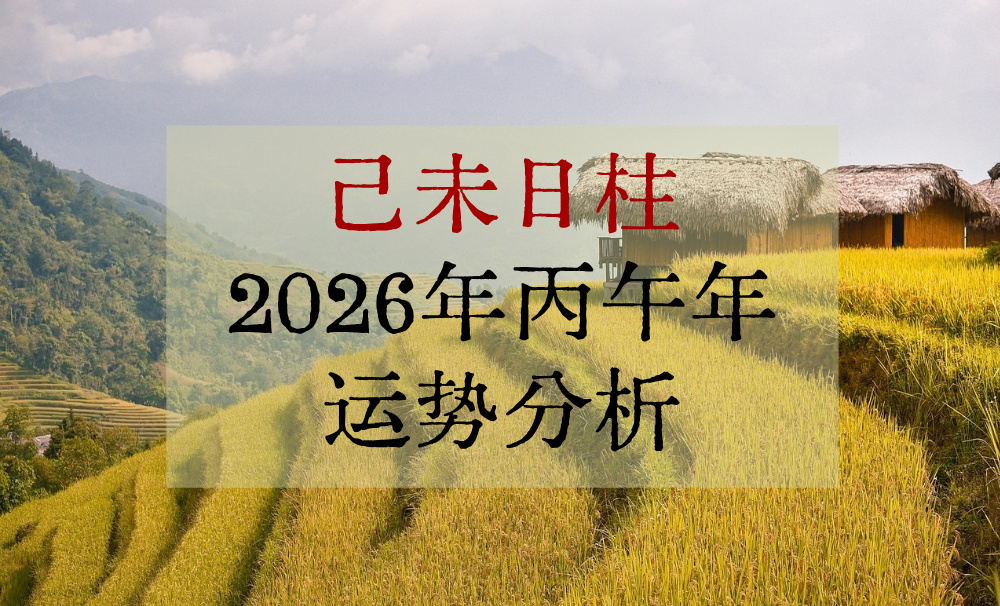 己未日柱2026年丙午年感情及事业运势分析