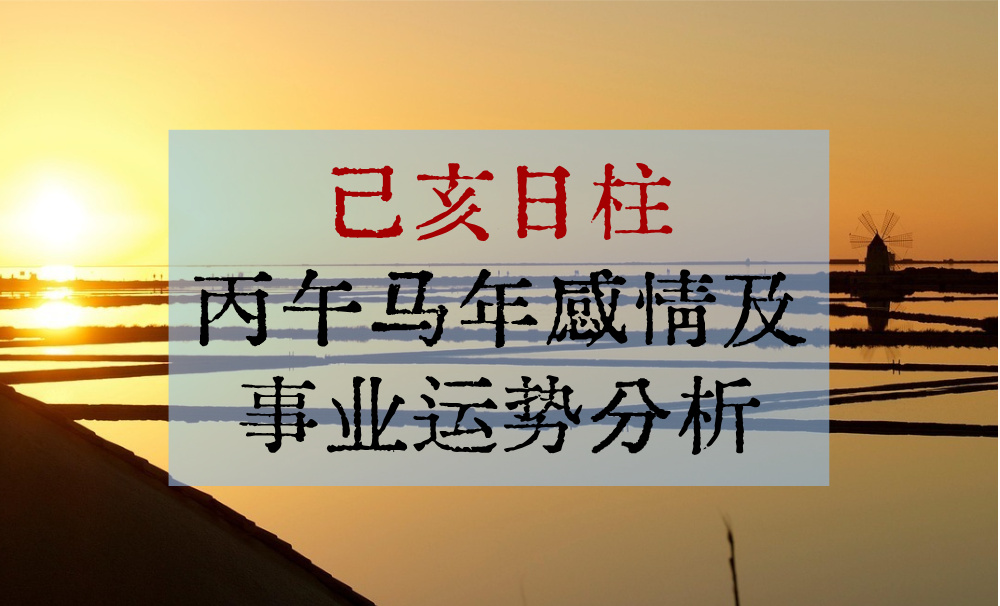 己亥日柱丙午马年感情及事业运势分析