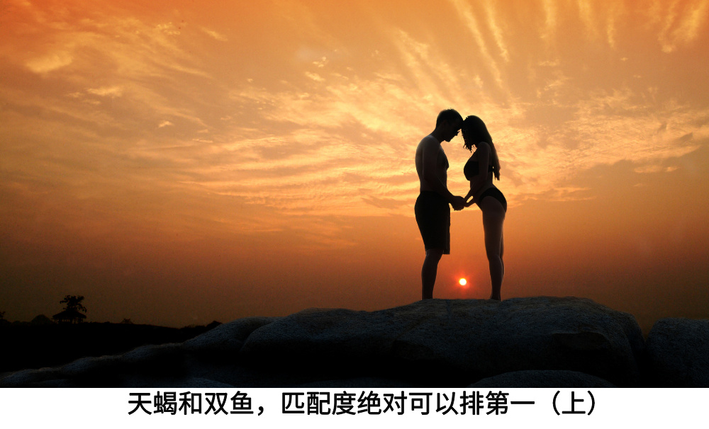 天蝎和双鱼，匹配度绝对可以排第一（上）