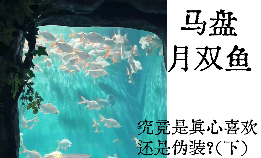 马盘月亮双鱼|究竟是真心喜欢还是伪装？（下）