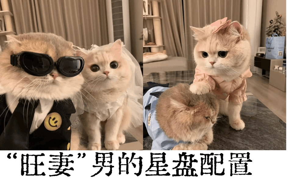 &ldquo;旺妻&rdquo;男的星盘配置|恋爱试金石