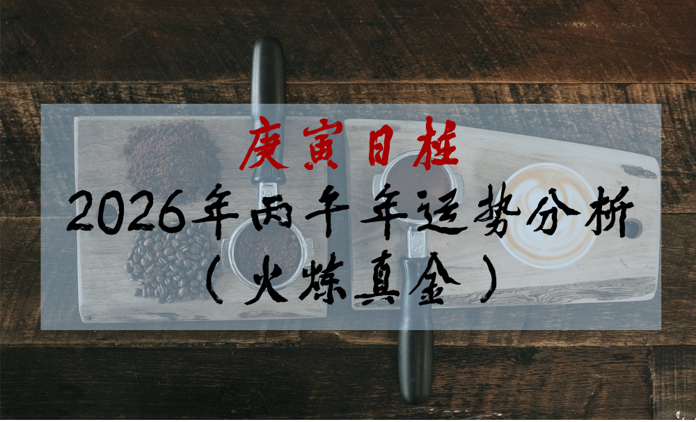 庚寅日柱2026年丙午年运势分析（火炼真金）