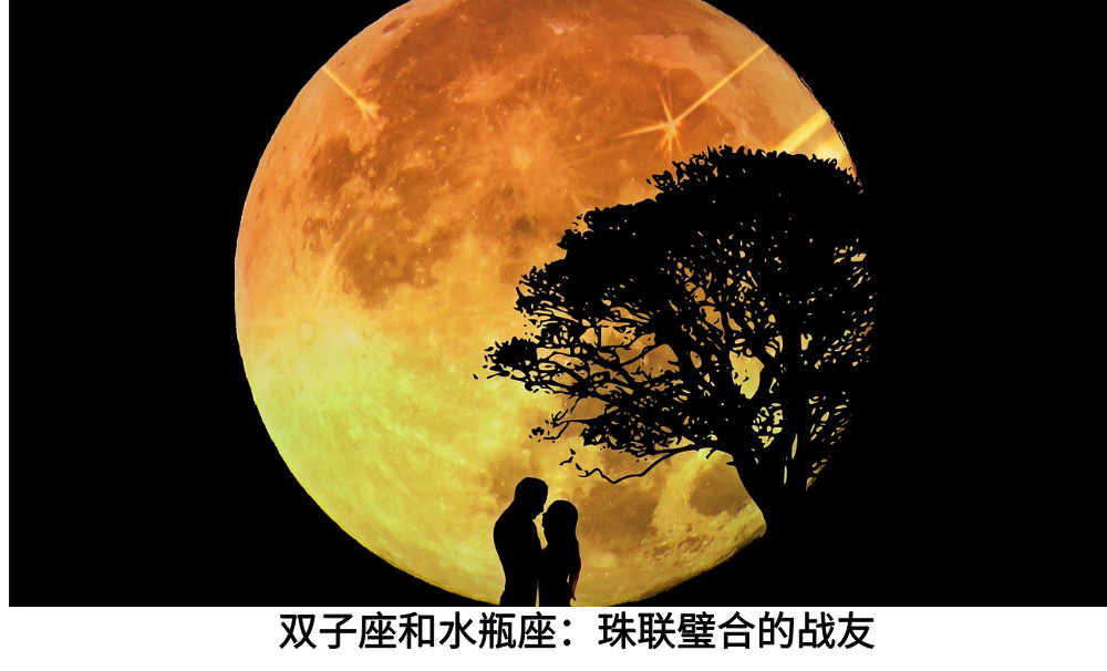 双子座和水瓶座：珠联璧合的战友