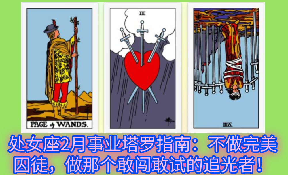 处女座2月事业塔罗指南：不做完美囚徒，做那个敢闯敢试的追光者！