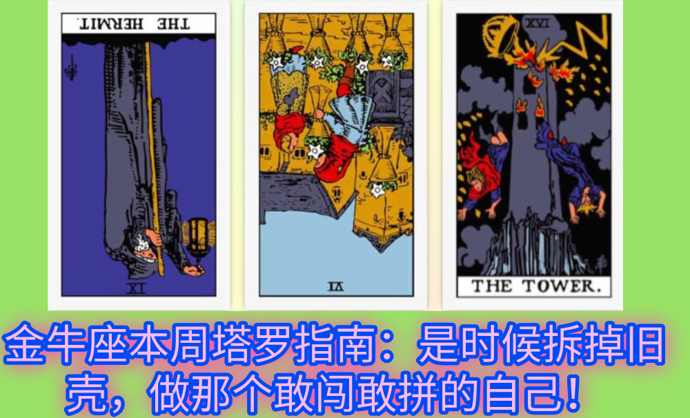 金牛座本周塔罗指南：是时候拆掉旧壳，做那个敢闯敢拼的自己！