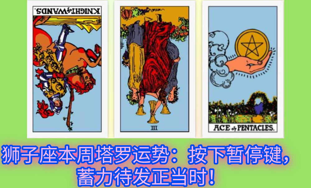 狮子座本周塔罗运势：按下暂停键，蓄力待发正当时！