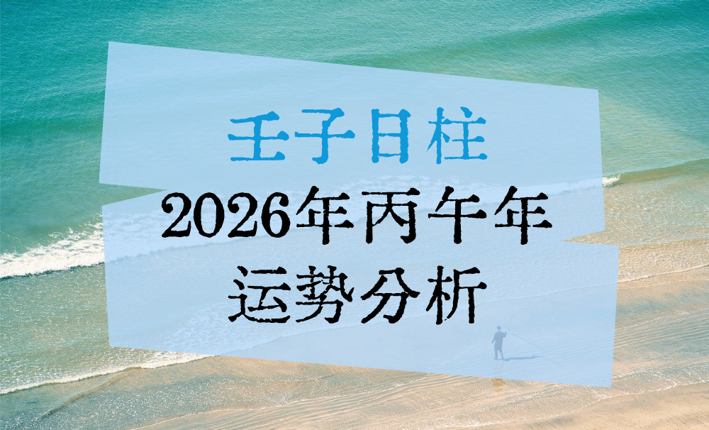 壬子日柱2026年丙午年运势分析(水火激战)