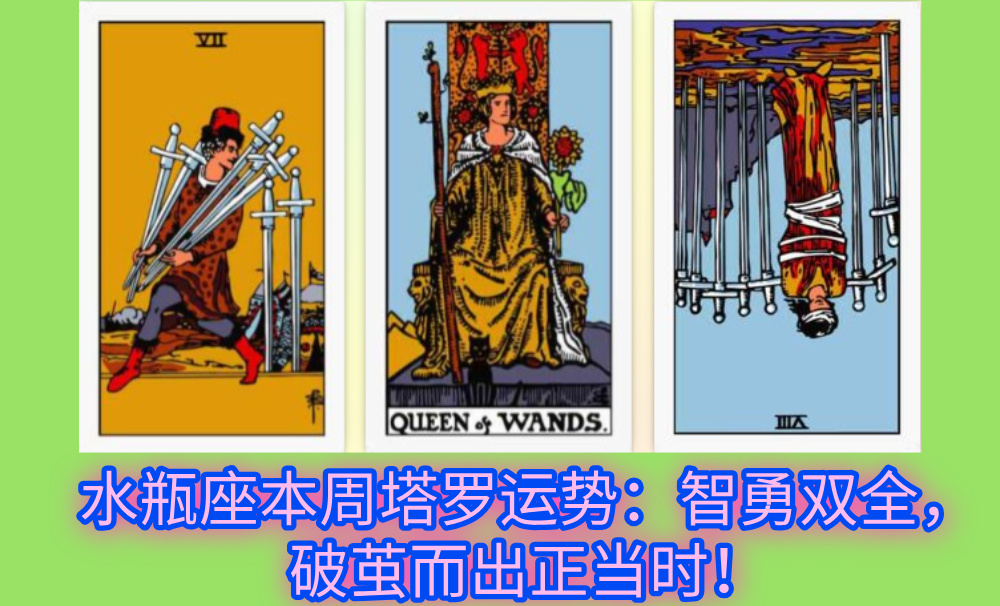 水瓶座本周塔罗运势：智勇双全，破茧而出正当时！