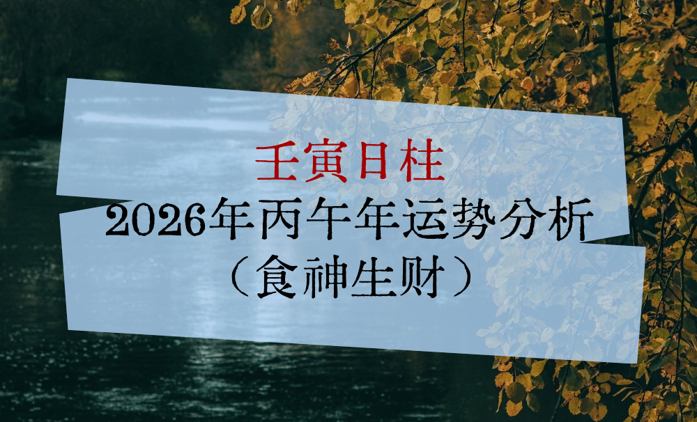 壬寅日柱2026年丙午年运势分析（食神生财）
