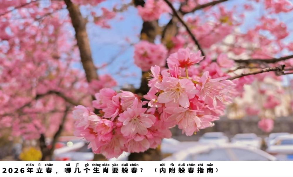 2026年立春，哪几个生肖要躲春？（内附躲春指南）