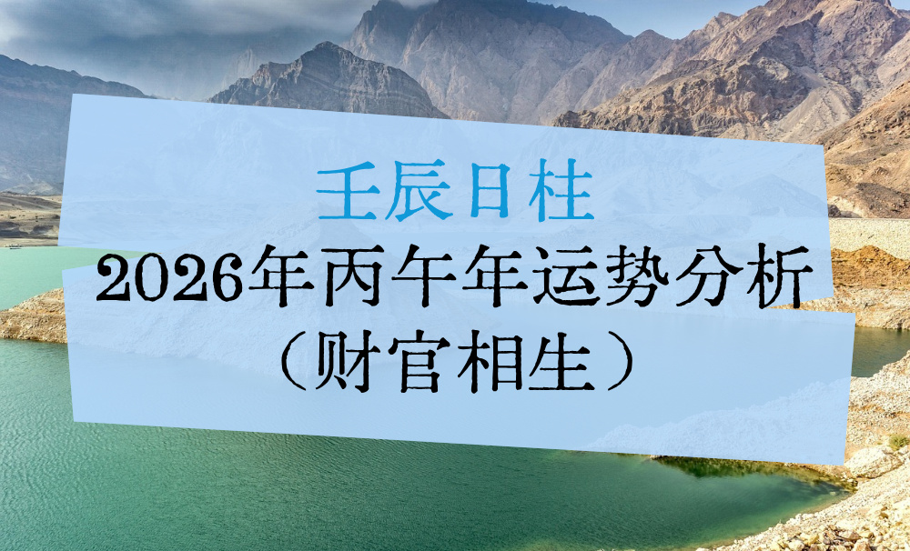 壬辰日柱2026年丙午年运势分析(财官相生)