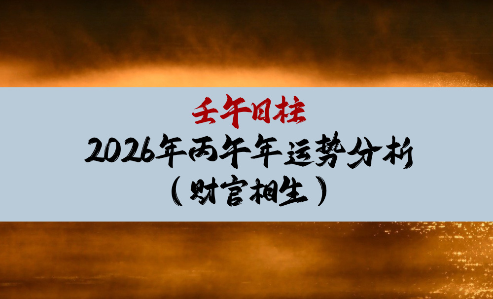 壬午日柱2026年丙午年运势分析（财官相生）