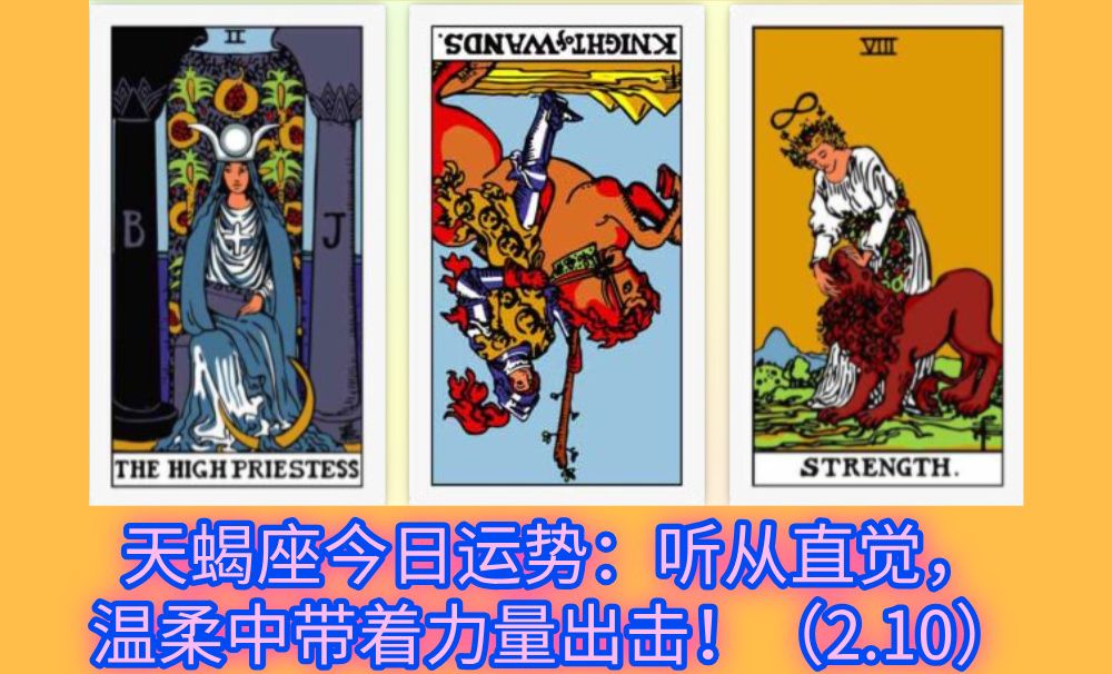 天蝎座今日运势：听从直觉，温柔中带着力量出击！（2.10）