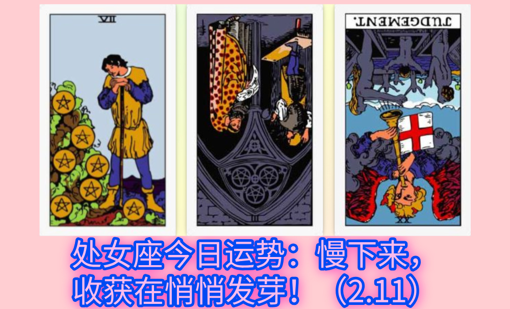 处女座今日运势：慢下来，收获在悄悄发芽！（2.11）