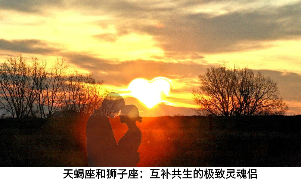 天蝎座和狮子座：互补共生的极致灵魂侣