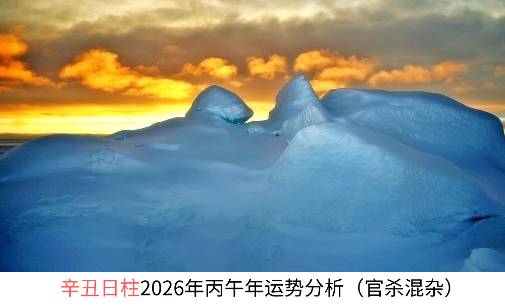 辛丑日柱2026年丙午年运势分析（官杀混杂）