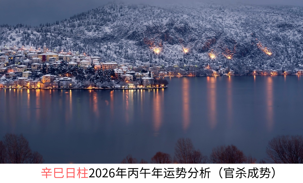 辛巳日柱2026年丙午年运势分析（官杀成势）